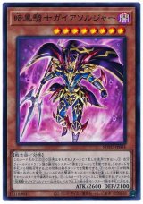 暗黒騎士ガイアソルジャー【スー】