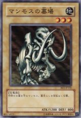 マンモスの墓場【ノー】