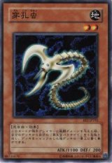 穿孔虫【ノー】
