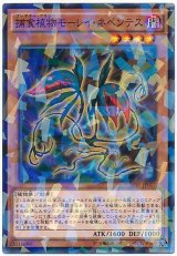 【パラ】捕食植物モーレイ・ネペンテス