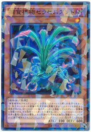 画像1: 【パラ】捕食植物セラセニアント