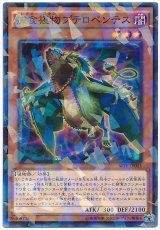 【パラ】　捕食植物プテロペンテス（Bランク）