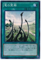 竜の霊廟【スー】（Bランク）