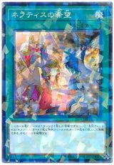 ネフティスの希望【パラ】（Bランク）