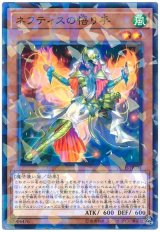 ネフティスの悟り手【パラ】（Bランク）
