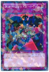 スカーレッド・カーペット【パラ】