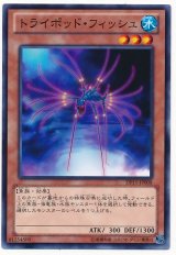 トライポッド・フィッシュ【ノー】