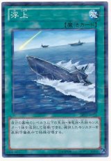 浮上【パラ】（Bランク）