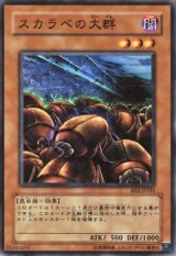 スカラベの大群【ノー】