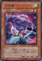 八汰烏【ノー】