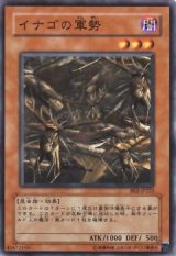 イナゴの軍勢【ノー】