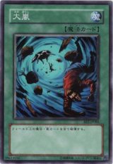 大嵐【スー】（Cランク）