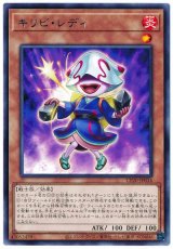 キリビ・レディ【レア】（Bランク）