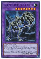 古生代化石竜 スカルギオス【スー】