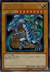 青眼の白龍【ウル】（Cランク）