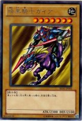 暗黒騎士ガイア【レア】（Bランク）