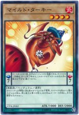 マイルド・ターキー【ノー】（Bランク）