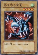 砦を守る翼竜【ノー】