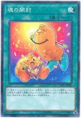 魂の開封【パラ】