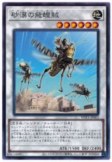 砂漠の飛蝗賊【ノー】（Bランク）