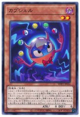 カプシェル【ノー】（Bランク）