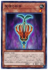 聖種の影芽【ノー】