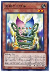 聖種の天双芽【ノー】