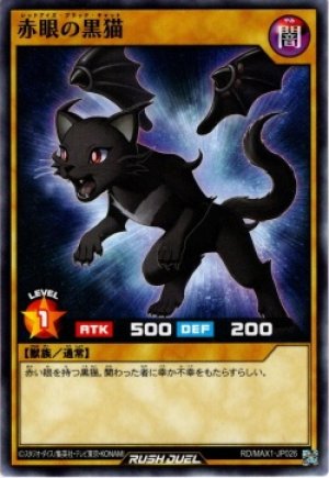 画像1: 赤眼の黒猫【ノー】