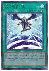 受け継ぎし魂【アル】