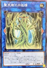 聖天樹の月桂精【ノー】