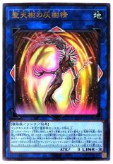 聖天樹の灰樹精【ウル】