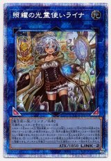 照耀の光霊使いライナ【プリシク】