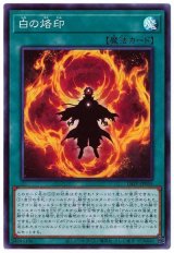 白の烙印【スー】