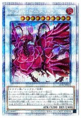ブラッド・ローズ・ドラゴン【プリシク】