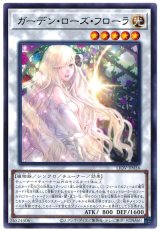 ガーデン・ローズ・フローラ【レア】