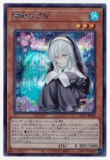 儚無みずき【シク】（Bランク）
