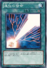 進化の宿命