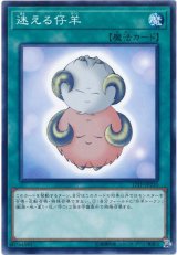 迷える仔羊（Bランク）