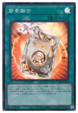 簡素融合【スー】