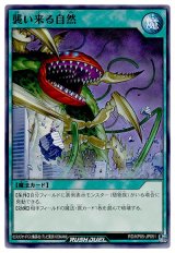 襲い来る自然【ノー】