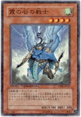 霞の谷の戦士（Bランク）