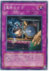 運命のドラ（Bランク）