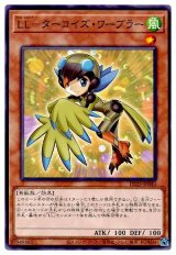 LL-ターコイズ・ワーブラー【ノー】
