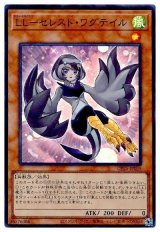 LL‐セレスト・ワグテイル【スー】（Bランク）