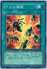 アリの増殖（Bランク）