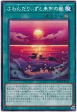 ふわんだりぃずと未知の風【ノー】（Bランク）