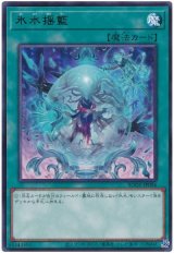 氷水揺籃【レア】（Bランク）