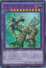 ナチュル・エクストリオ【コレレア】