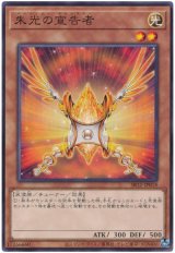 朱光の宣告者【ノー】