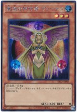 創造の代行者 ヴィーナス【シク】